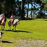 Woodstone Hotel Fazenda
